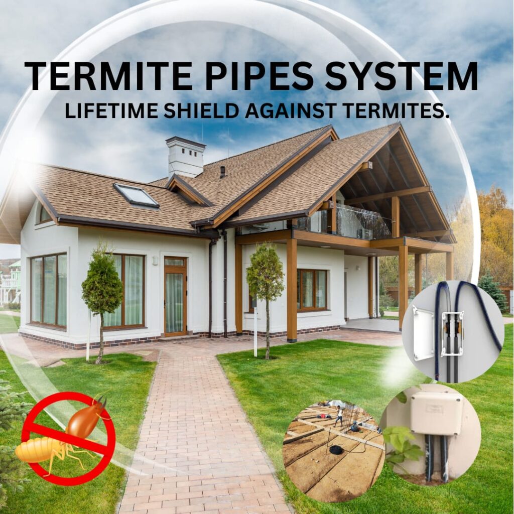 Natural Termite control