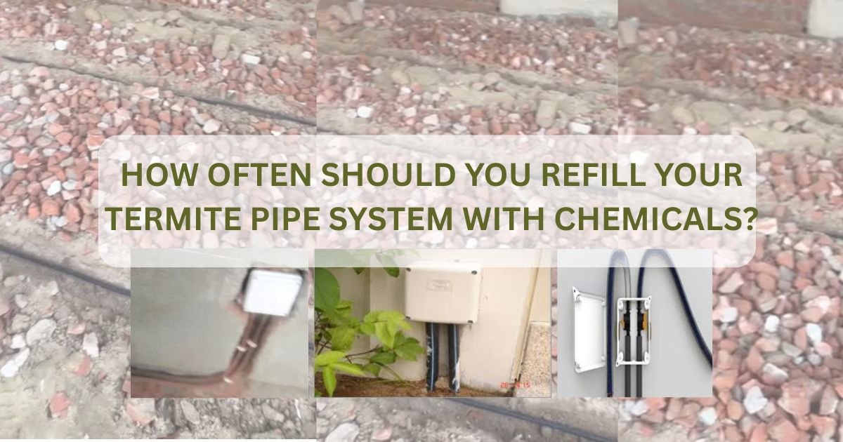 Termite Sticker Pipe How Often Should You Refill Your Termite Pipe System? - Termite Pipe System
