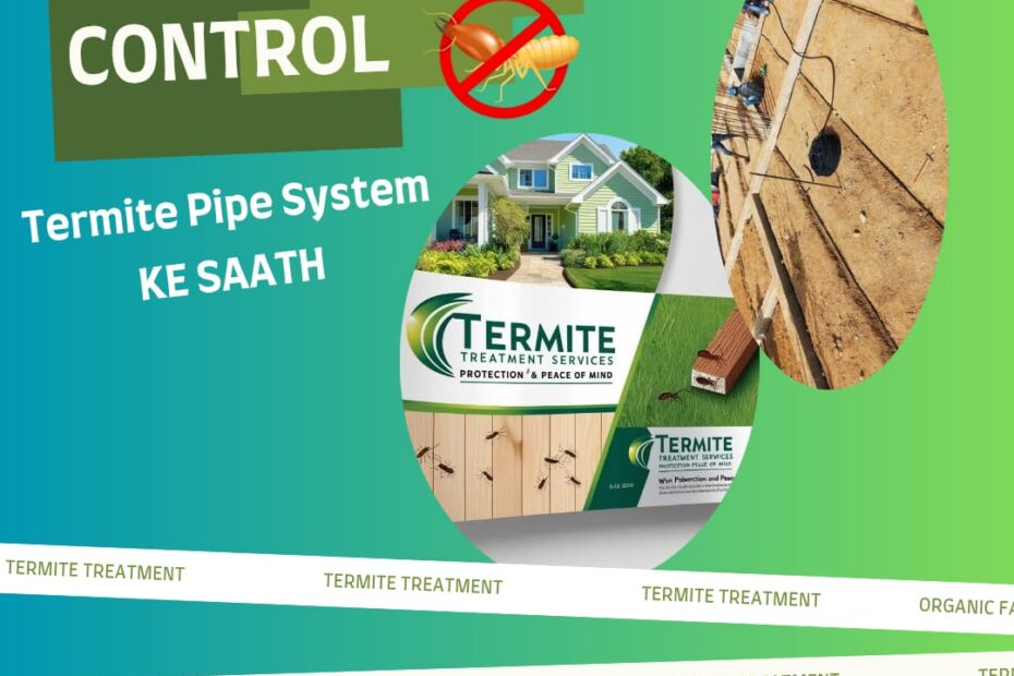 how to stop termites