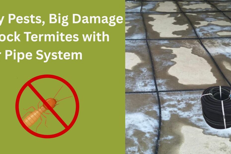 Tiny Pests, Big Damage – Block Termites with Our Pipe System