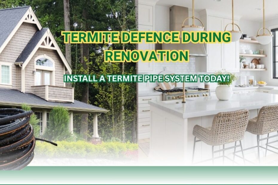 Termite Defence During Renovation