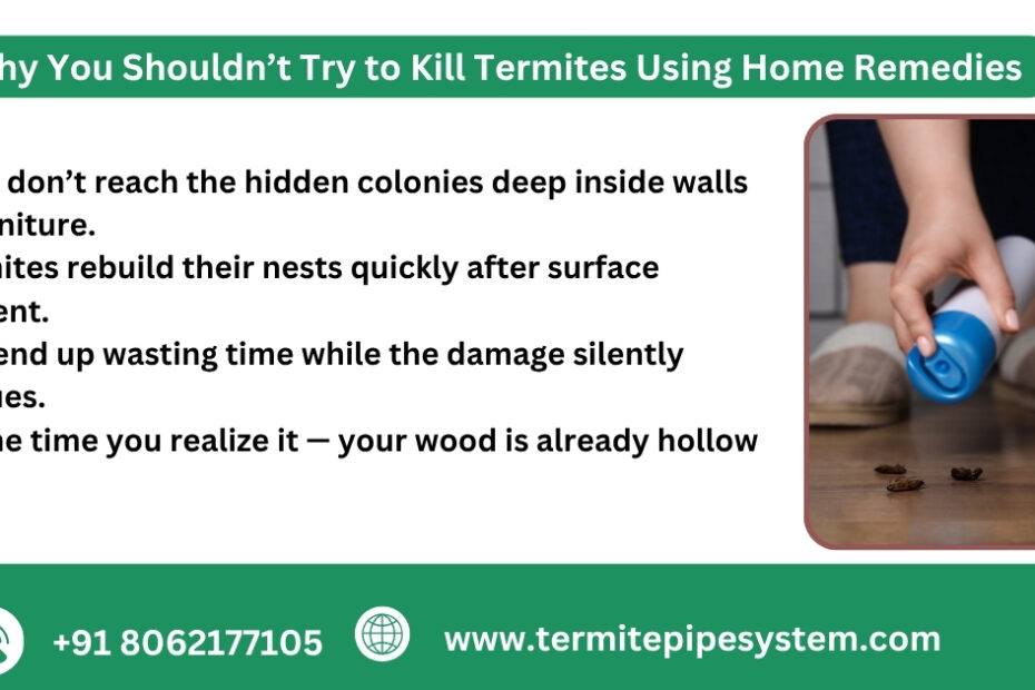 termites