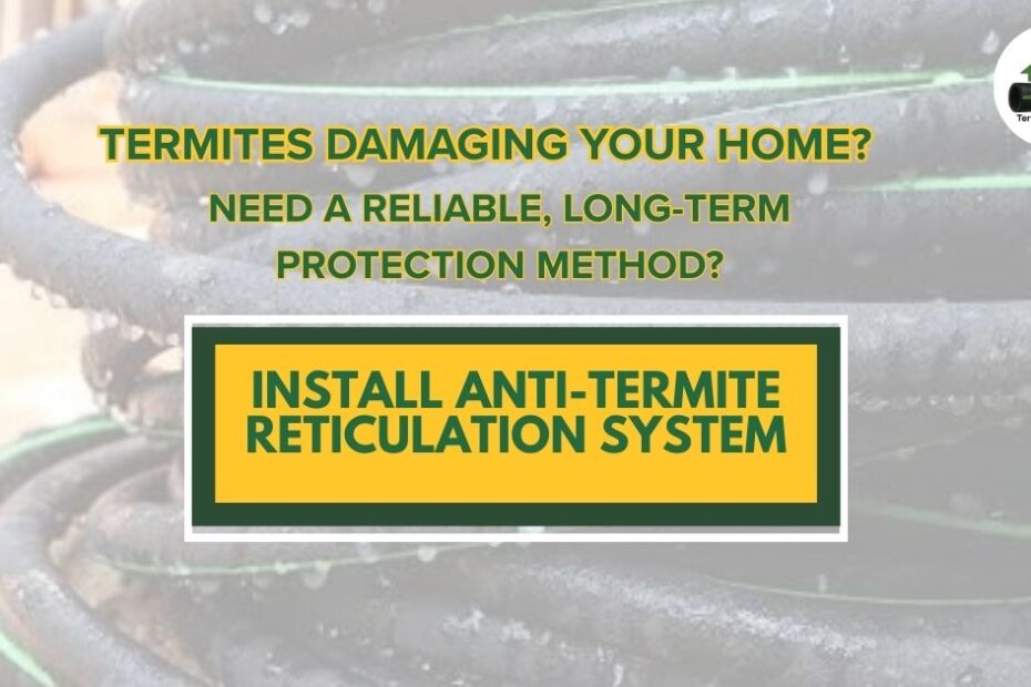 Best Anti-Termite Reticulation System for Homes
