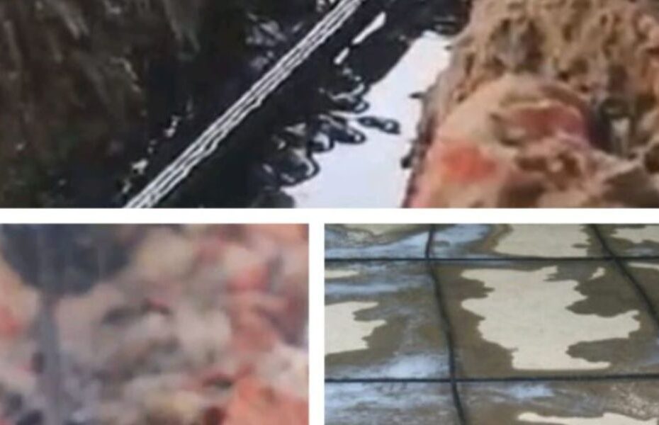 What is Termite Reticulation System in India